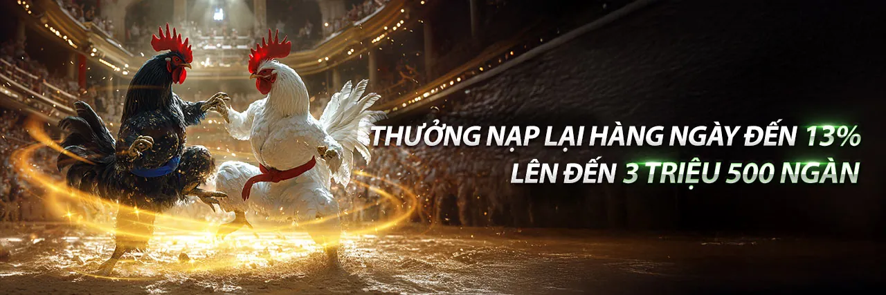 Hình ảnh đá gà trực tiếp chuyên nghiệp tại LVS788